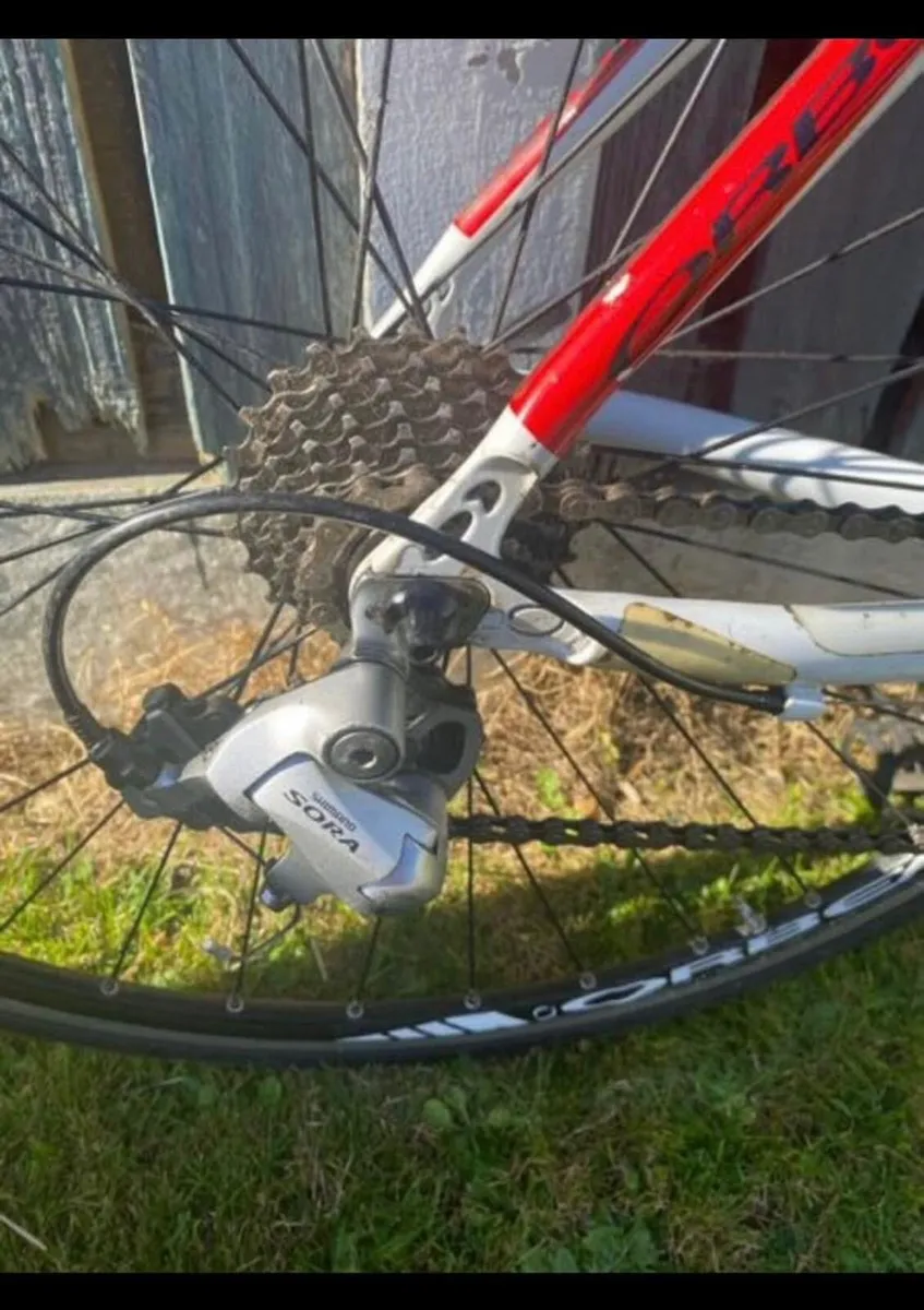 Orbea Racer Bike - Image 2