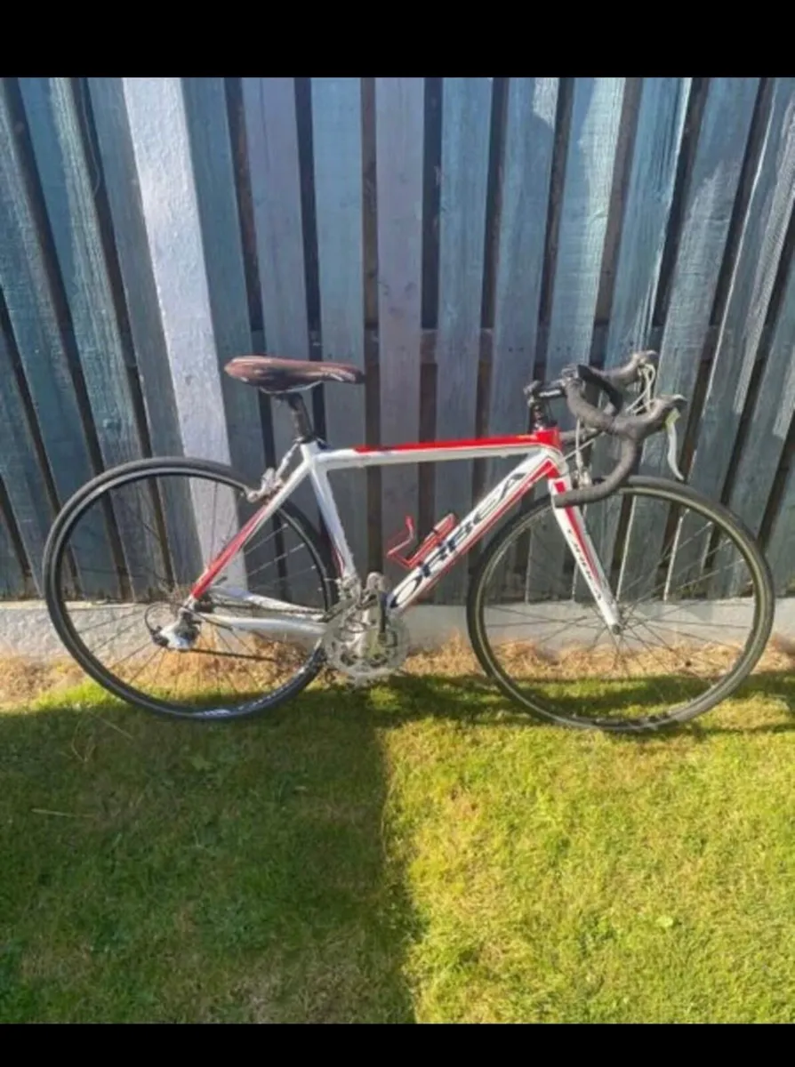 Orbea Racer Bike - Image 3