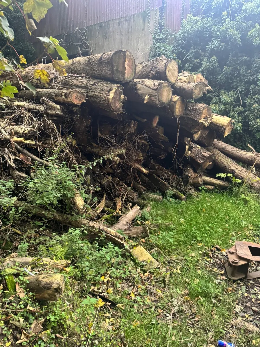 Firerwood - Image 1