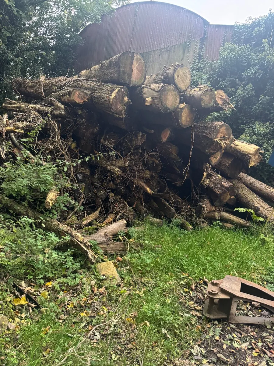 Firerwood - Image 4