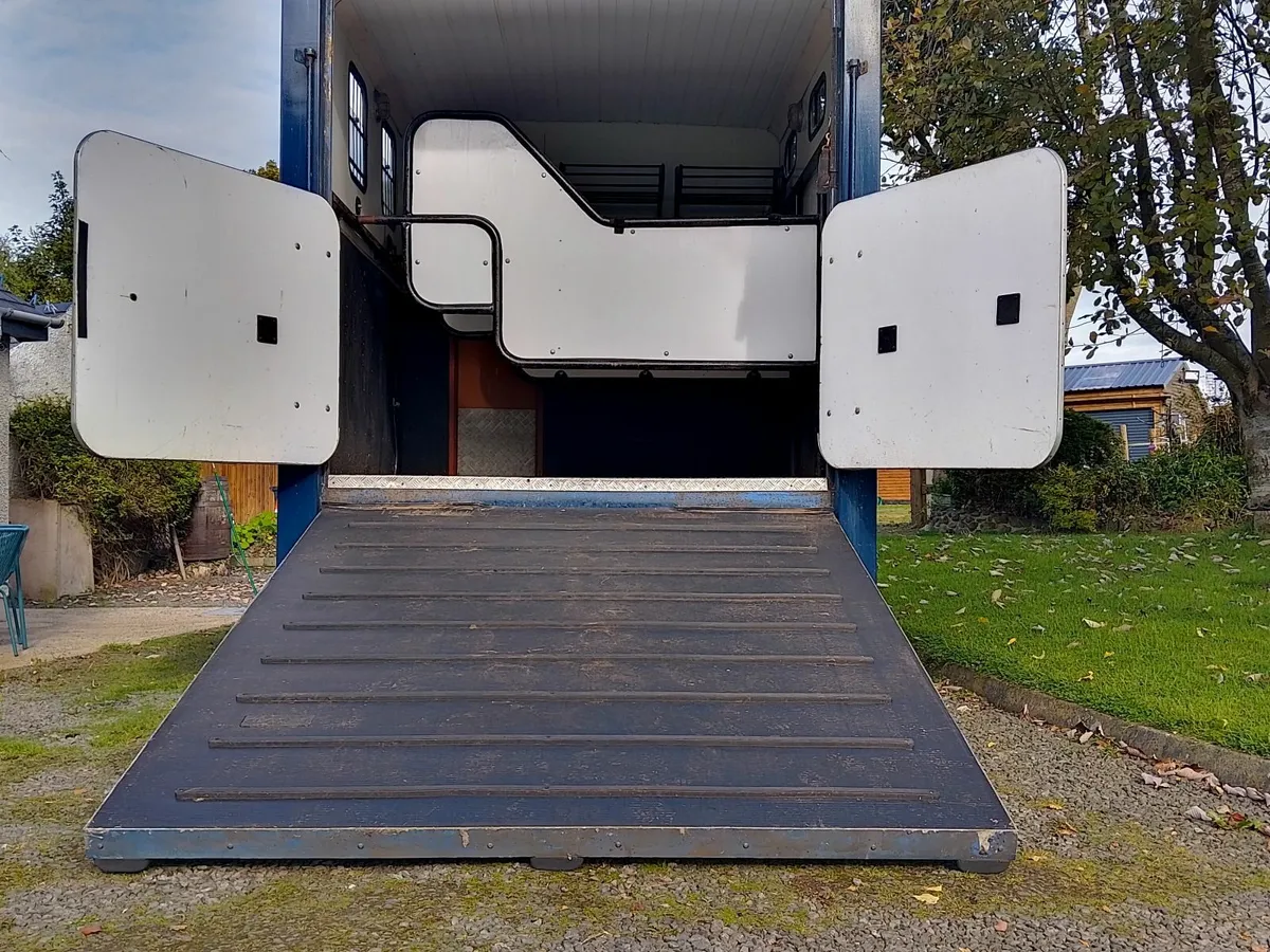 Horse Transport - Image 4