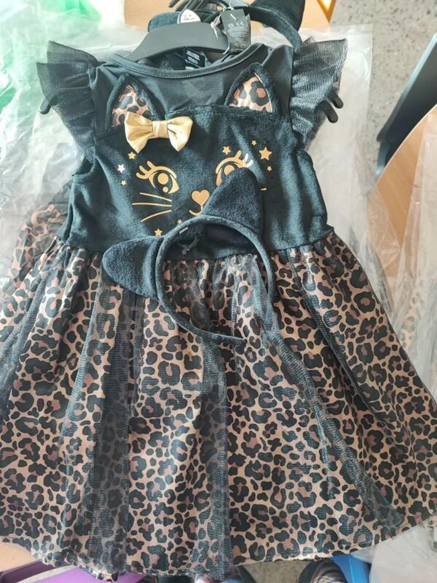 Halloween costume - Image 1