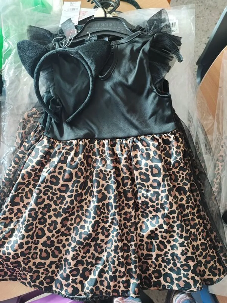 Halloween costume - Image 2