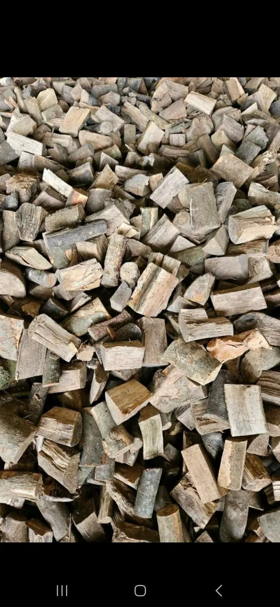 Firewood - Image 2
