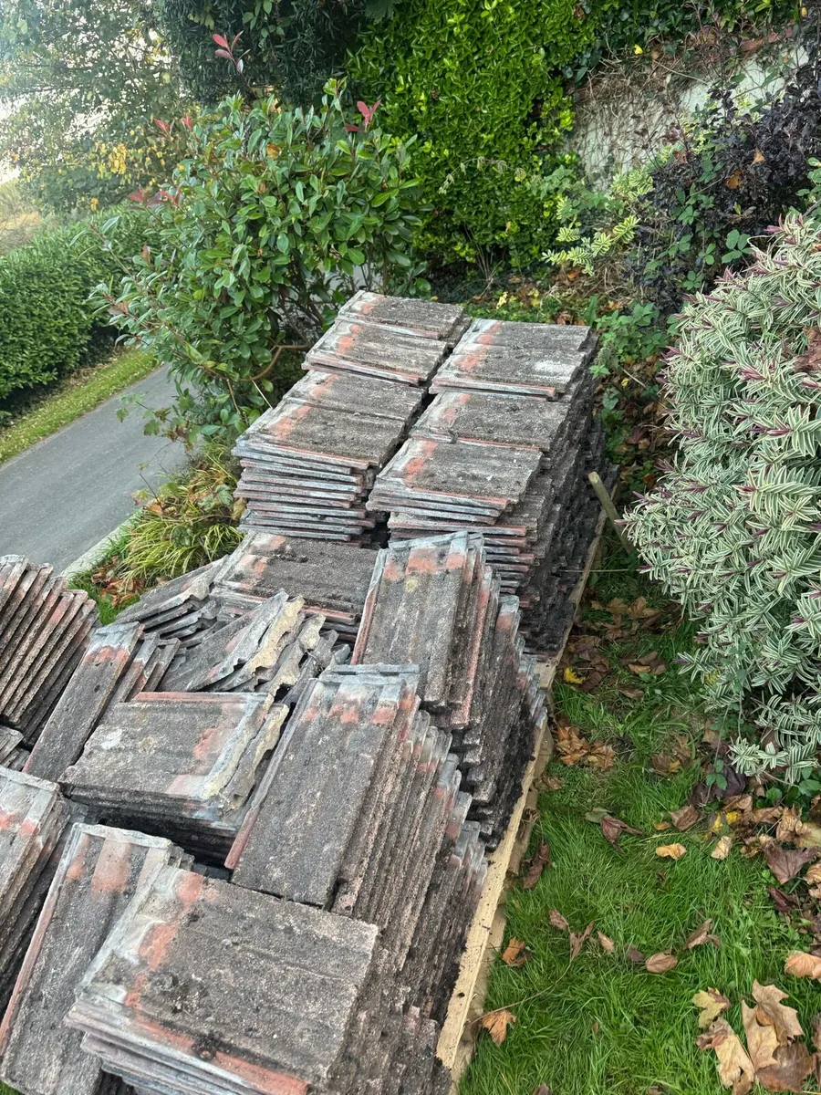 Roof tiles - Image 2
