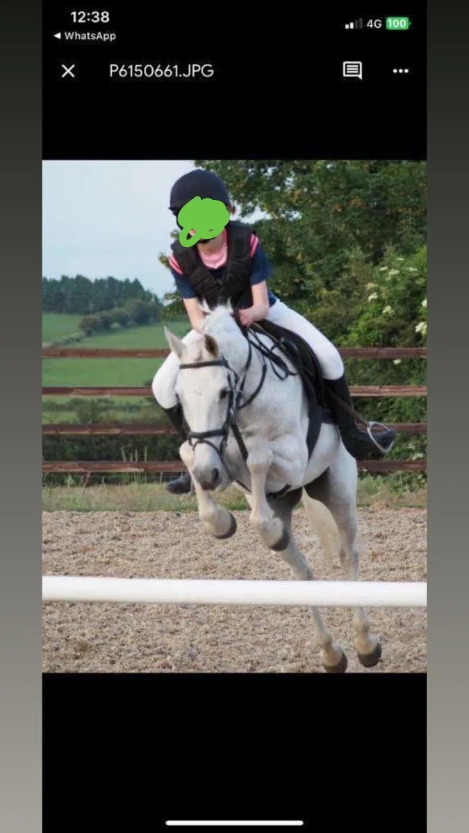 Pony - Image 1