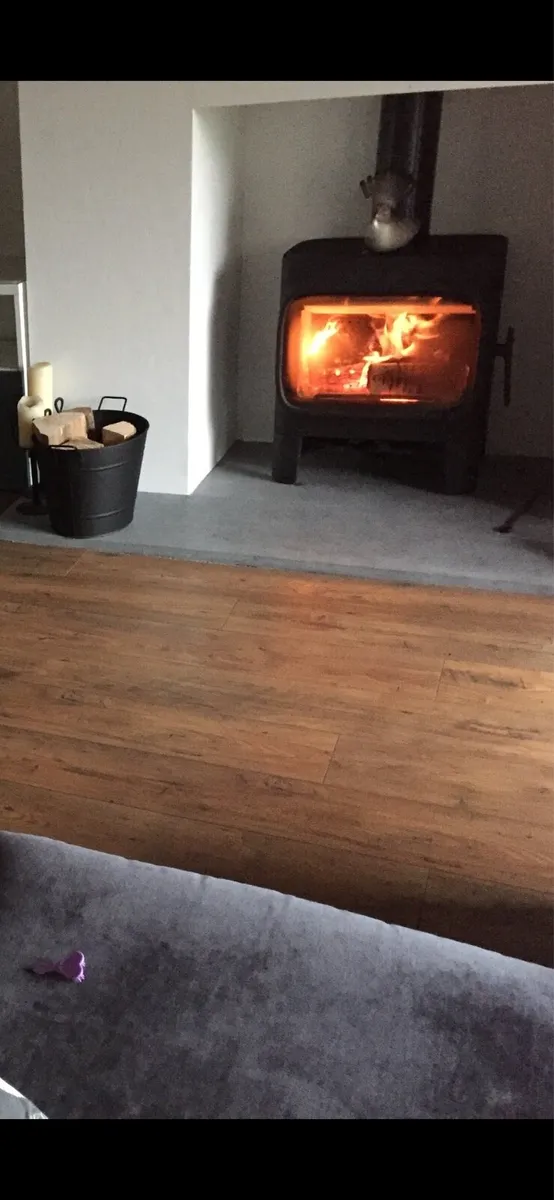 Jotul wood burning stove - Image 1