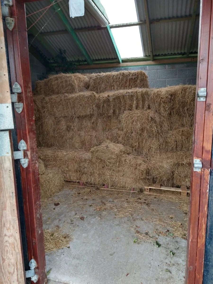 Small Hay Bales, €3 ONO