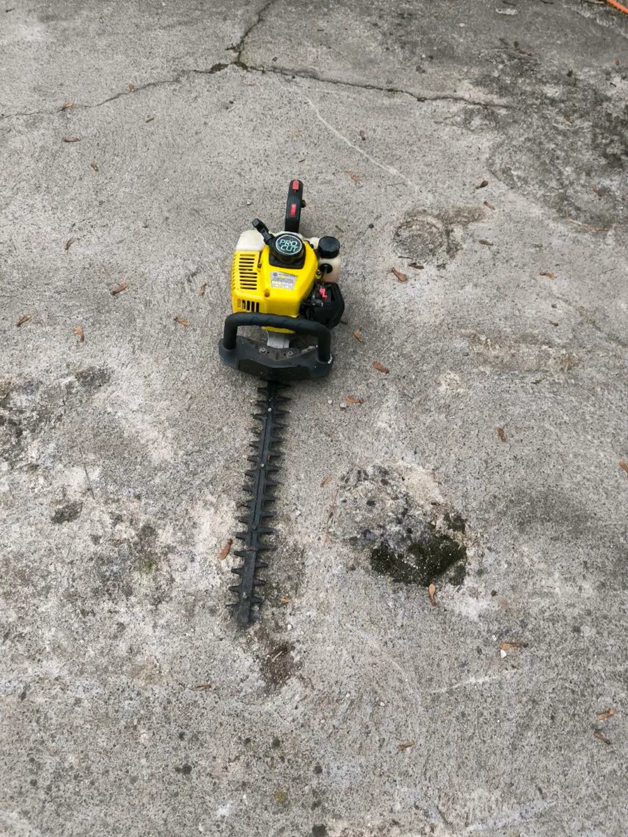 Petrol Trimmer for parts - Image 3