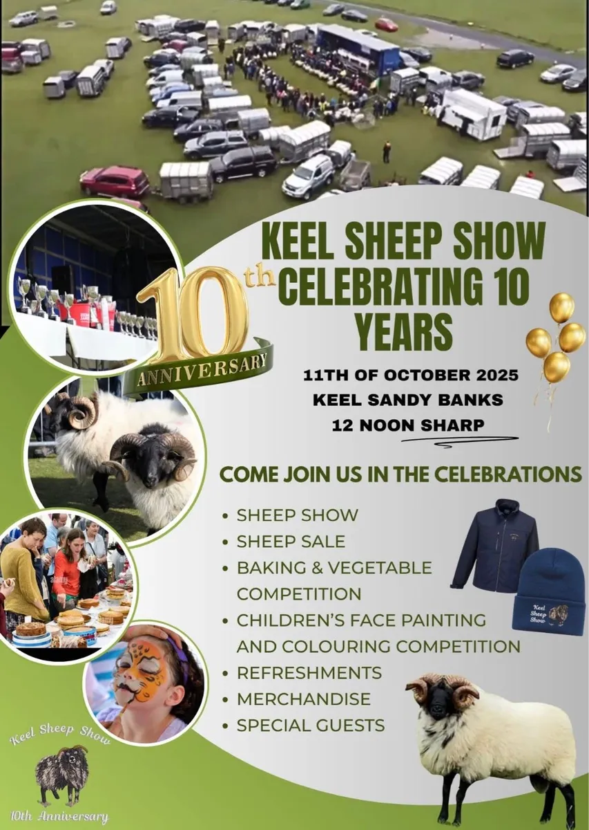 Keel Sheep Show 2025 **Stock Available** - Image 1