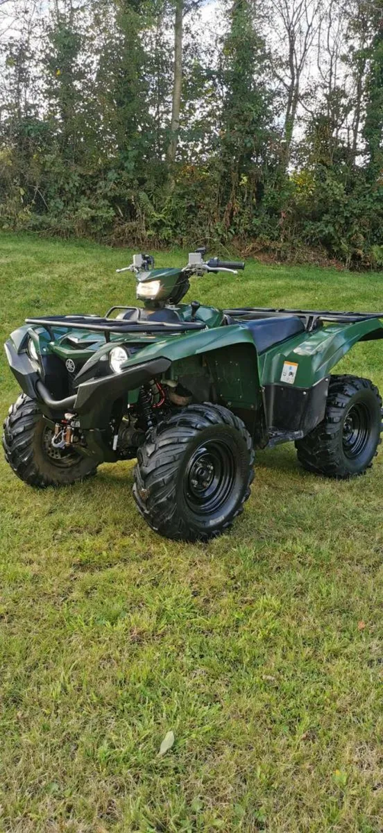 Yamaha grizzly 700 - Image 1