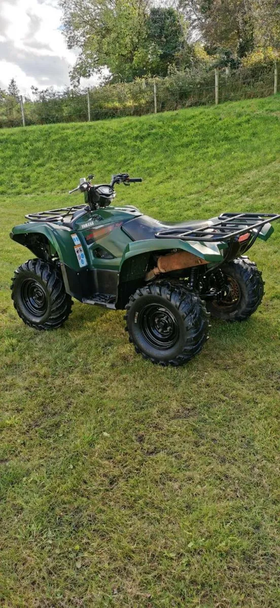 Yamaha grizzly 700 - Image 2