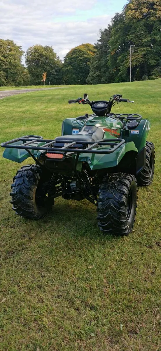 Yamaha grizzly 700 - Image 3