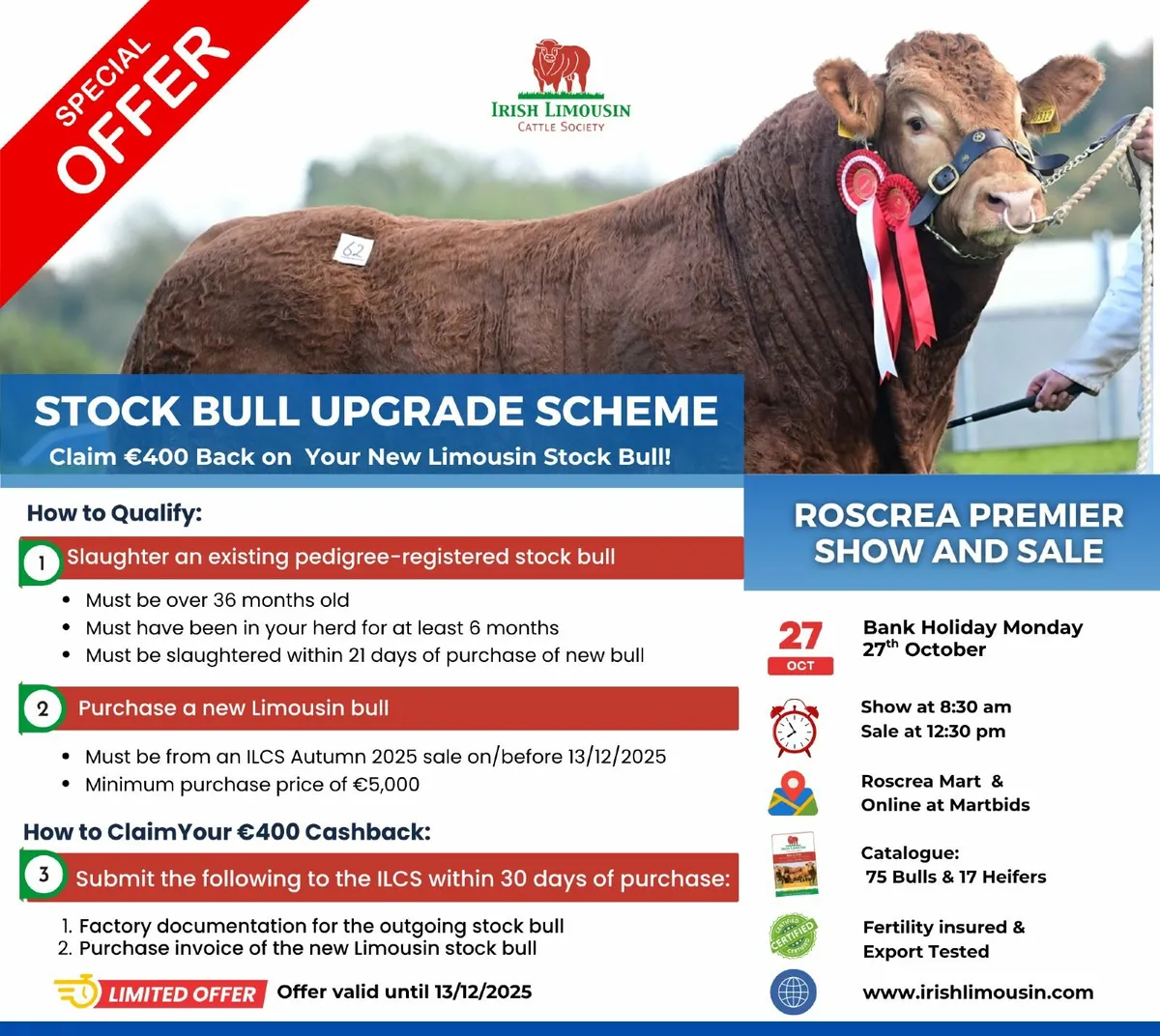 Premier Pedigree Limousin bull and heifer sale - Image 3