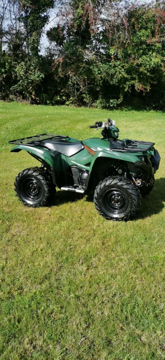 Yamaha grizzly 700 - Image 4