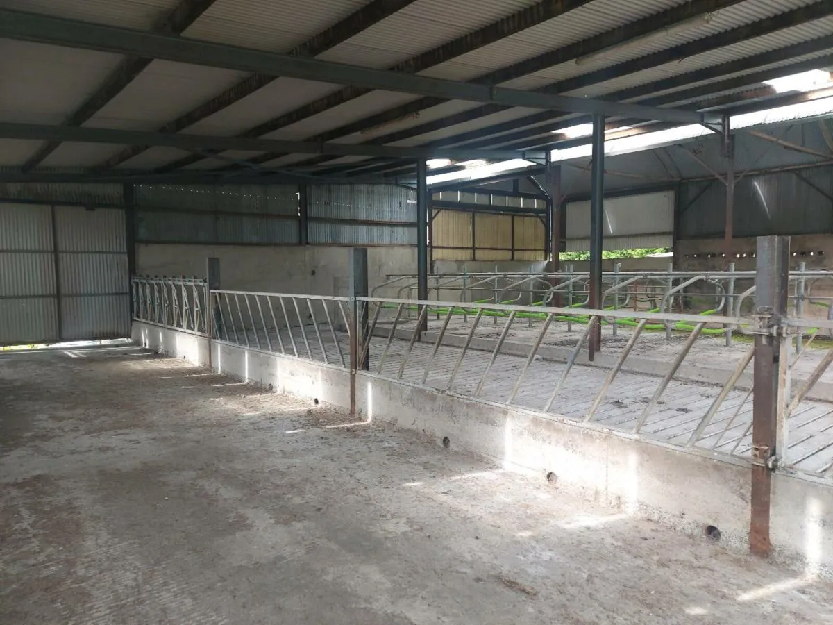 Slatted / cubicle shed to rent with silage - Image 1