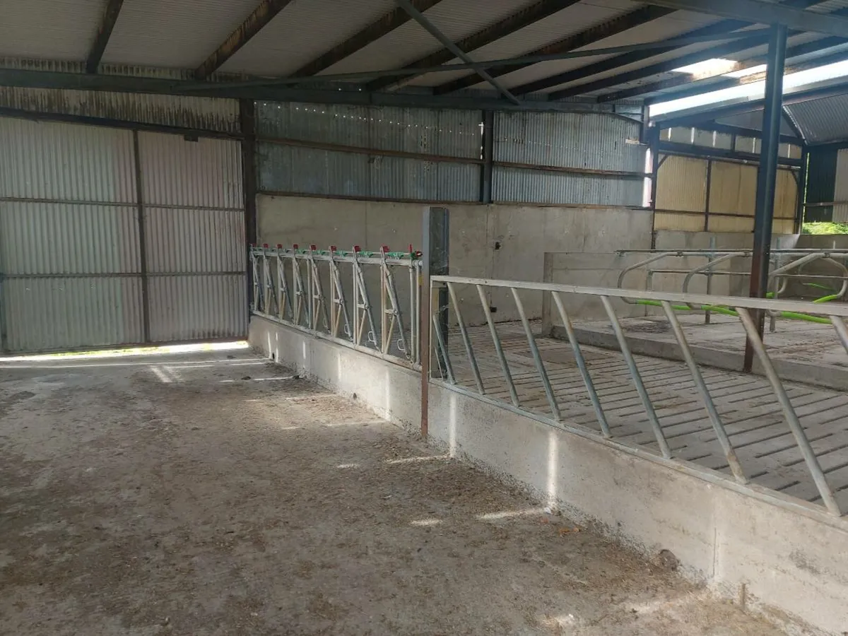 Slatted / cubicle shed to rent with silage - Image 4
