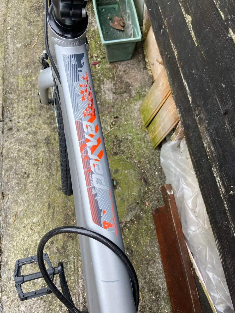 Carrera Bike - Image 4