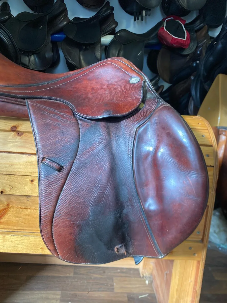 Chamberlain close contact jump saddle 17.5-18” - Image 1