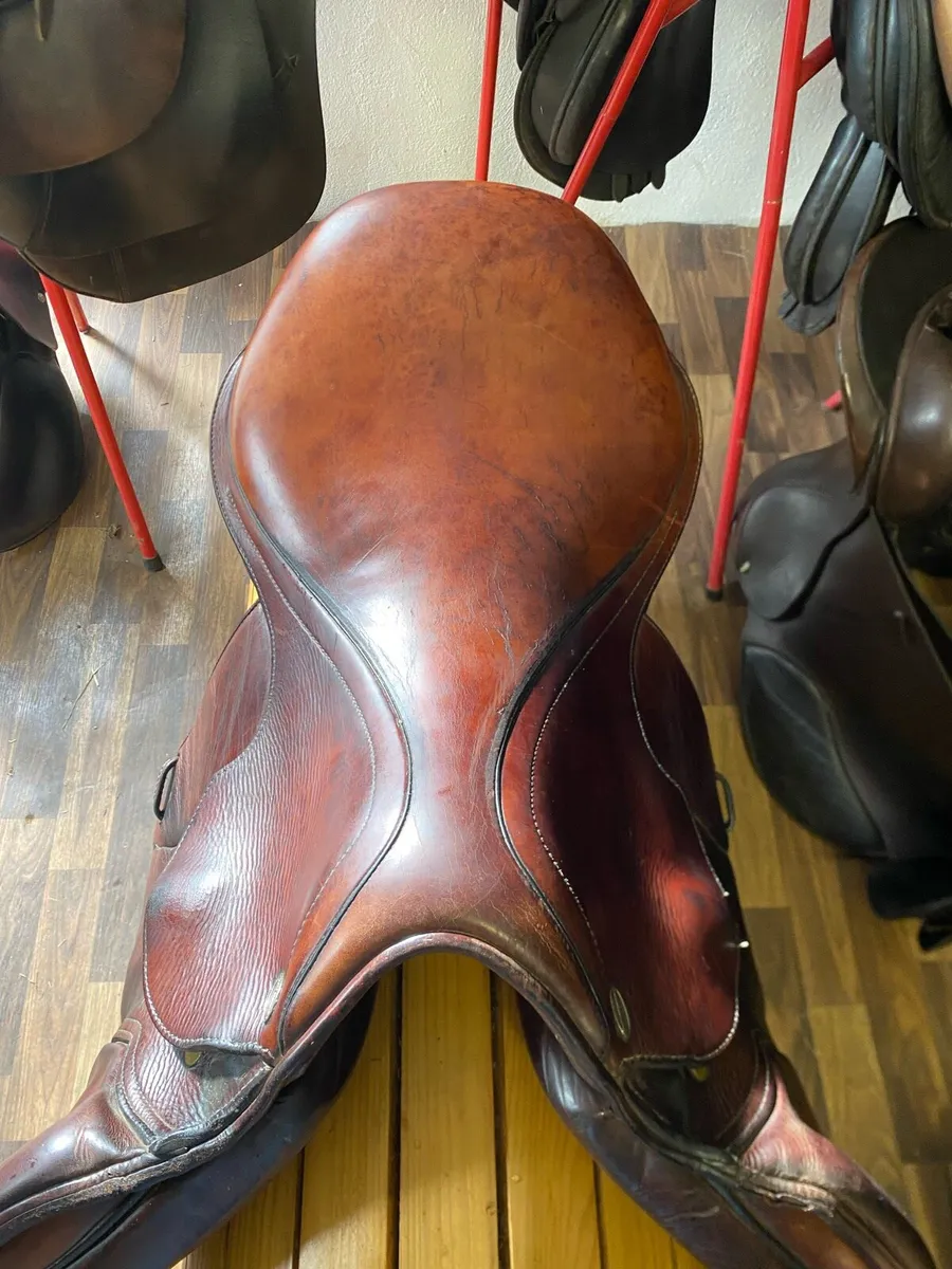 Chamberlain close contact jump saddle 17.5-18” - Image 3