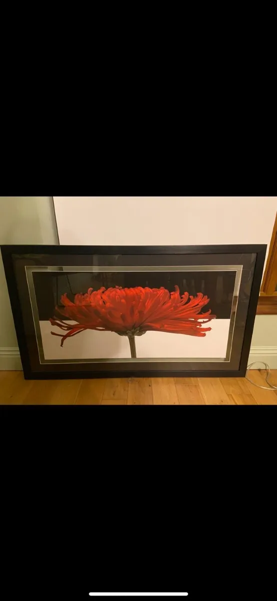 Ceiling Light, Floor Lamp and Framed Wall Picture - Image 2