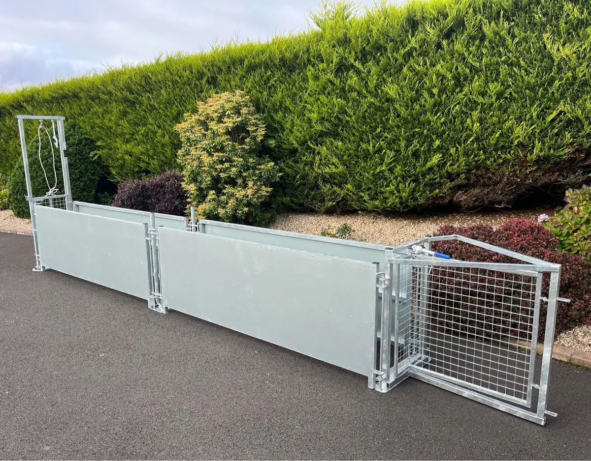 Brand New Galvanised Sheep Race - Image 1