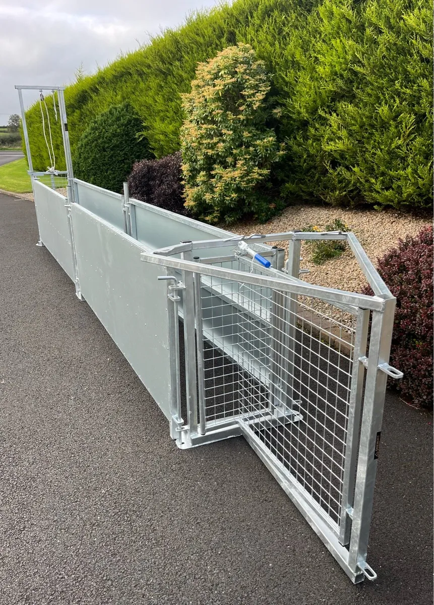 Brand New Galvanised Sheep Race - Image 2