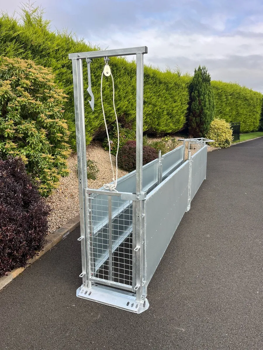 Brand New Galvanised Sheep Race - Image 3