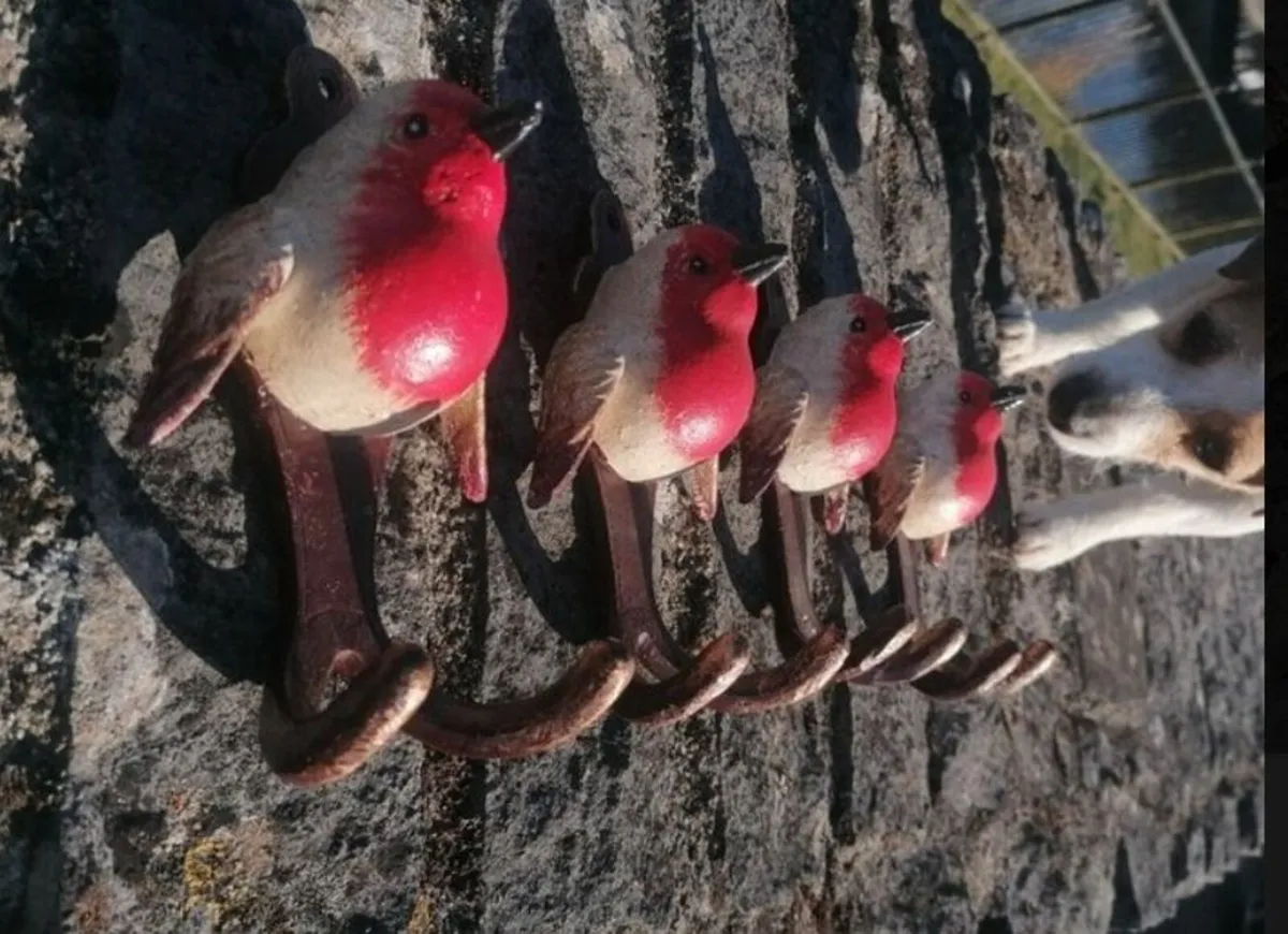 Set Of Four Robin Bird Hooks Cast Iron HandPainted - Image 2