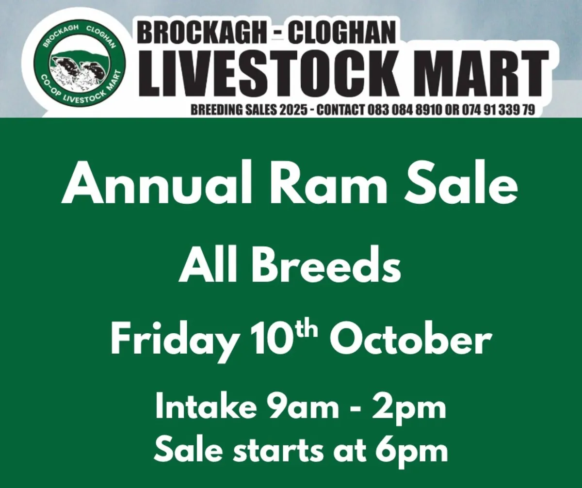 Ram Sale Friday 10th October - Image 1