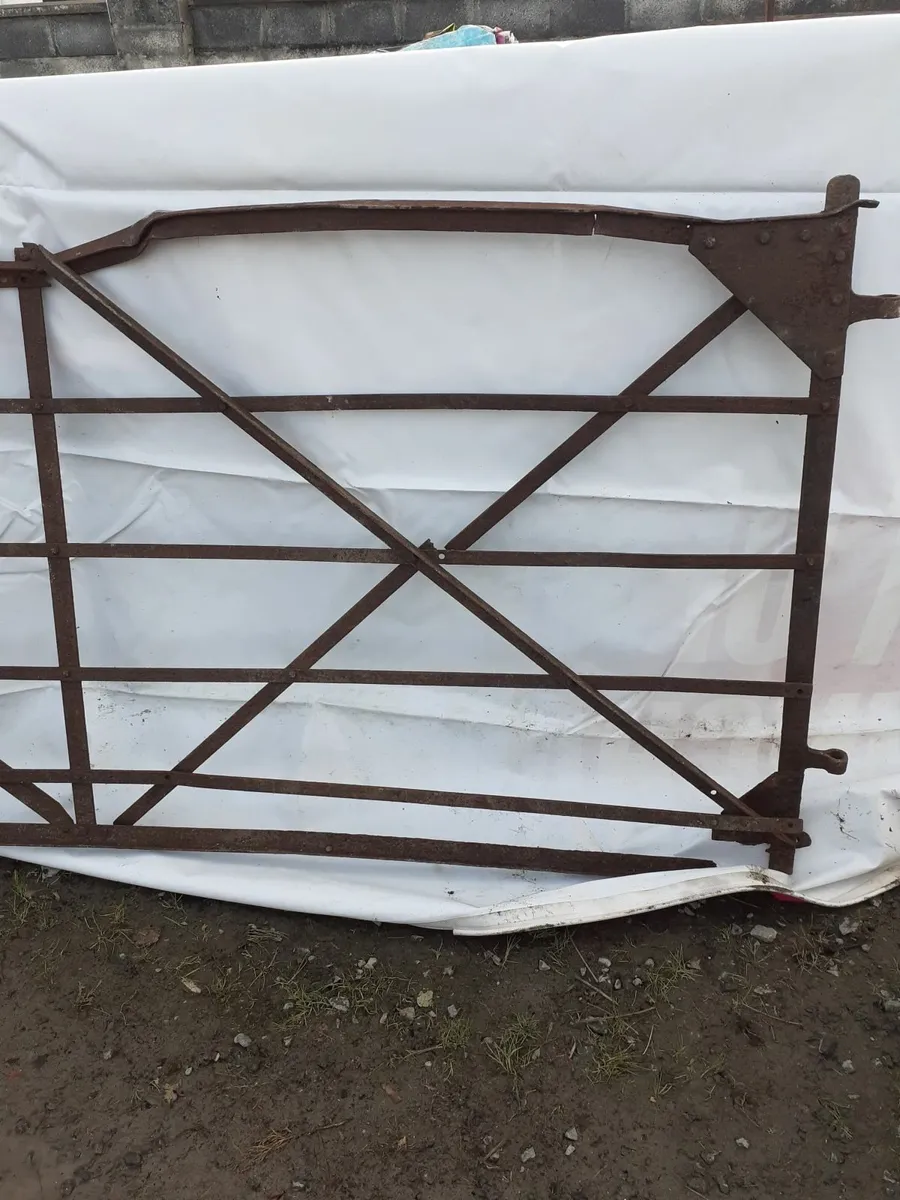 Antique Blacksmith Gates - Image 4