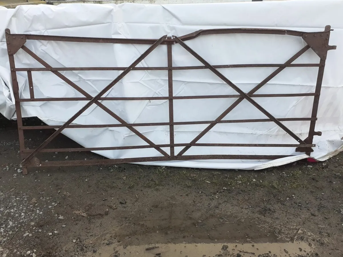 Antique Blacksmith Gates - Image 1
