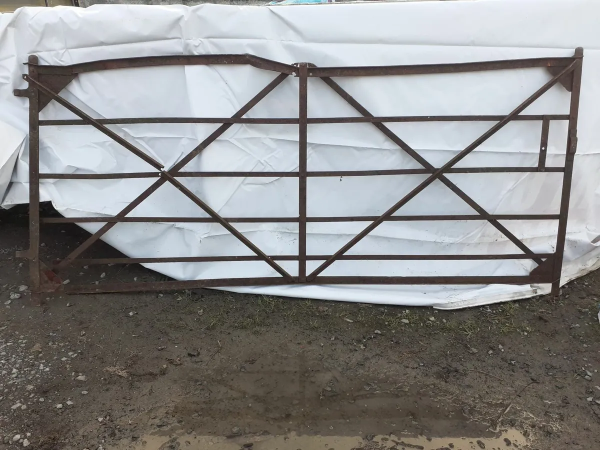 Antique Blacksmith Gates - Image 2