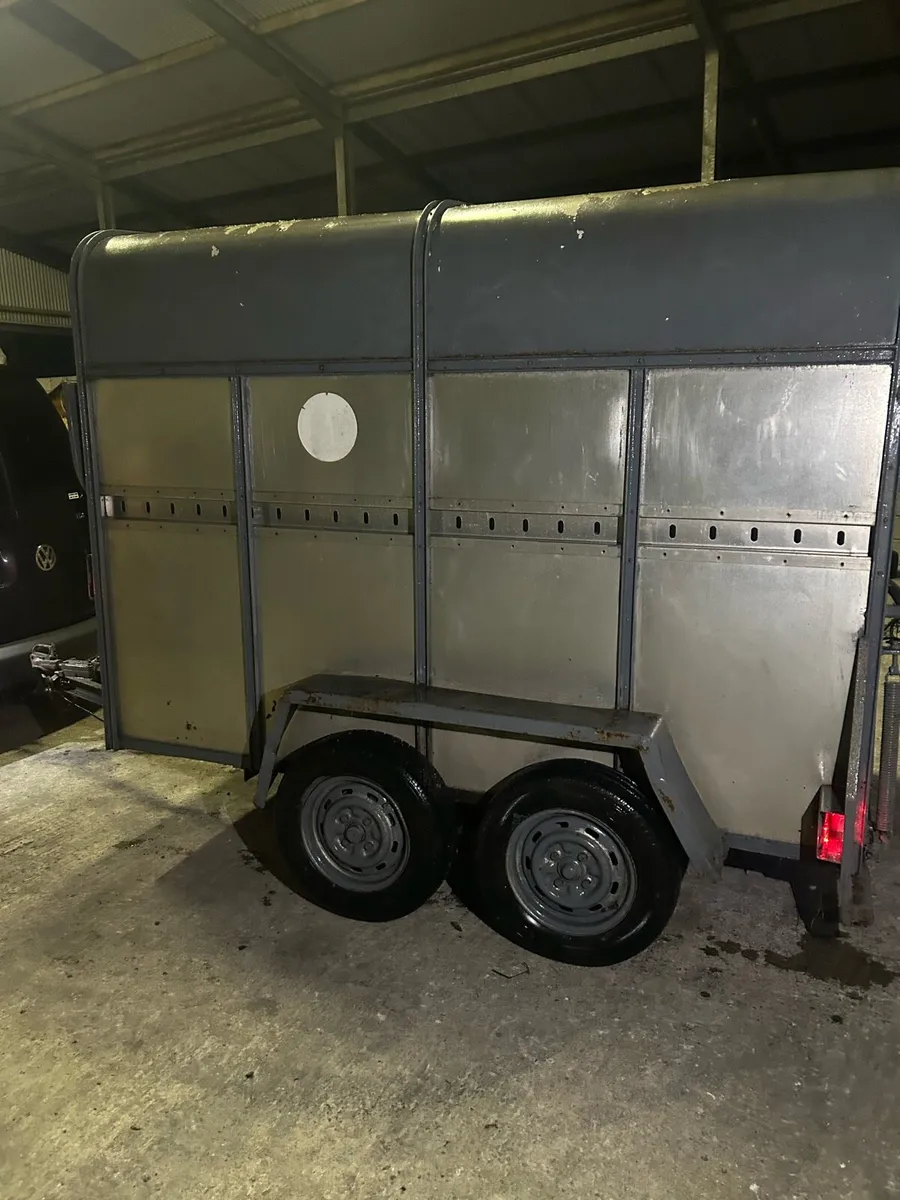 2 Cow Trailer - Image 2