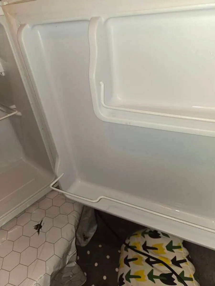 Mini Fridge - Image 2