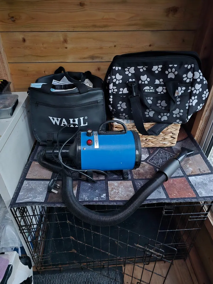 Mobile Dog grooming business - Image 4