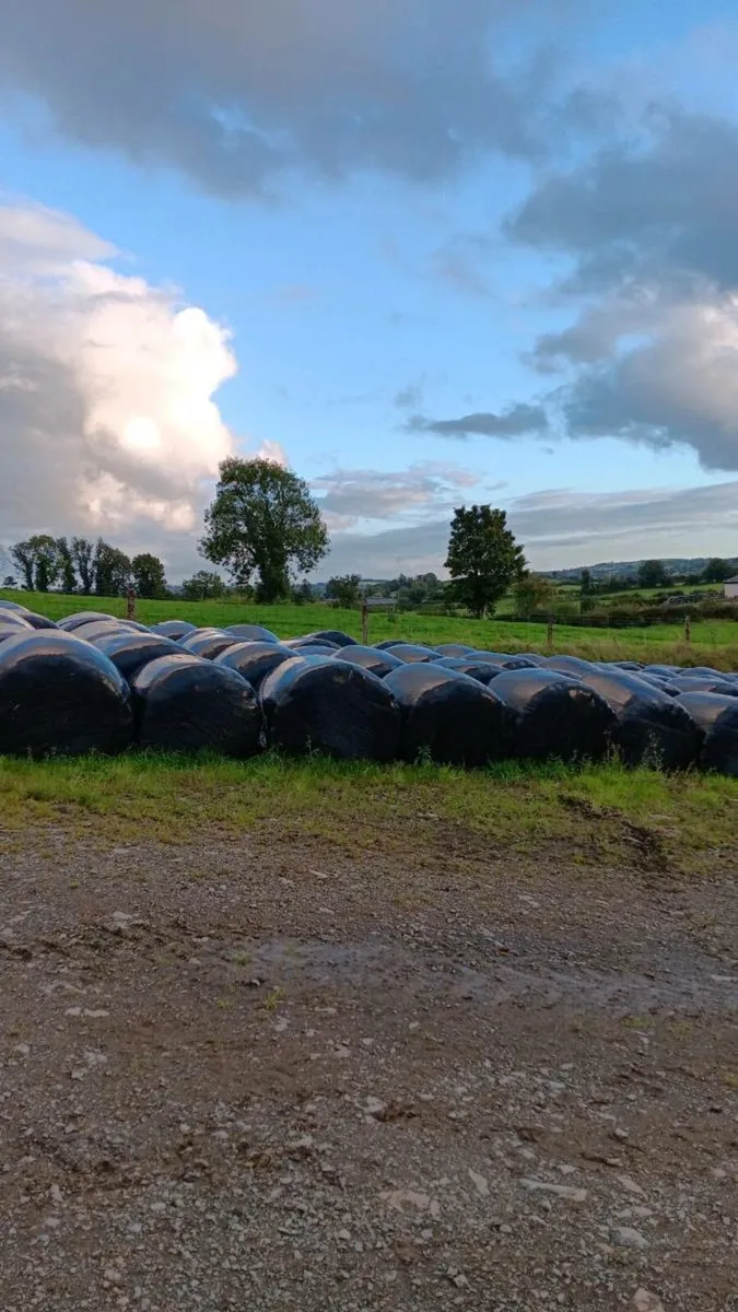 Contract Rearing /Winter Housing - Image 2