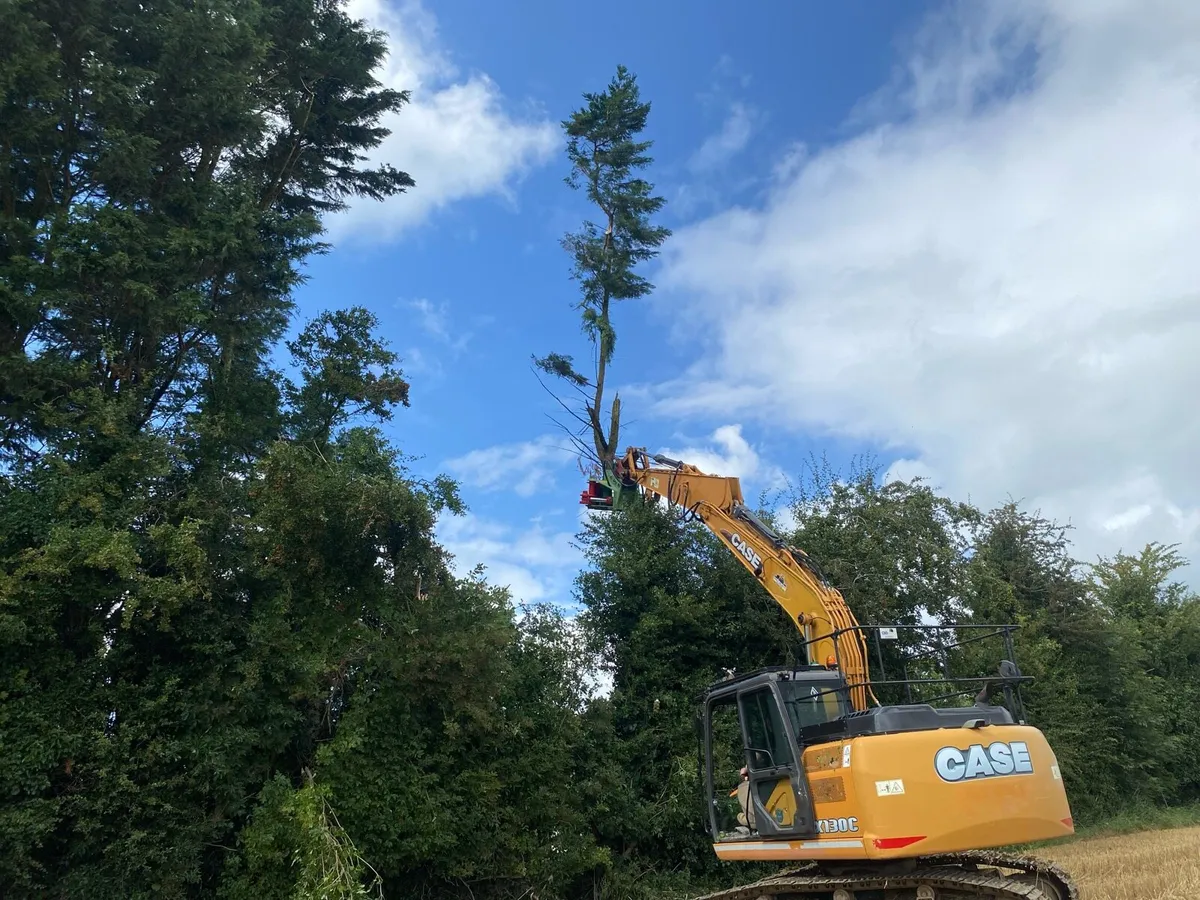 Tree Shearing Cutting Removal - Image 2