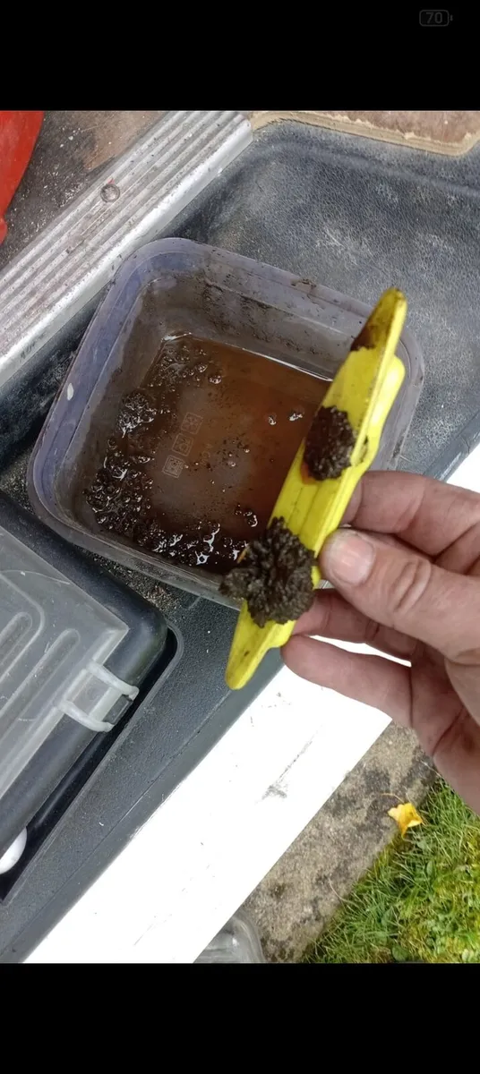 Emergency plumber/ radiator flushing - Image 2