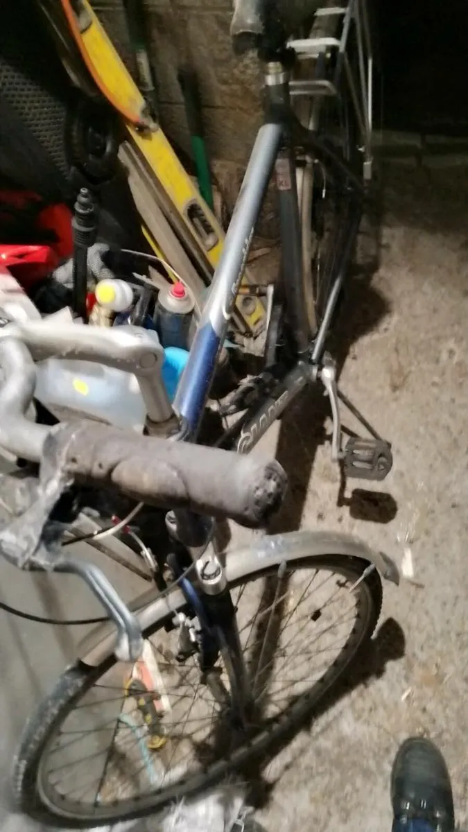 Bike - Image 2