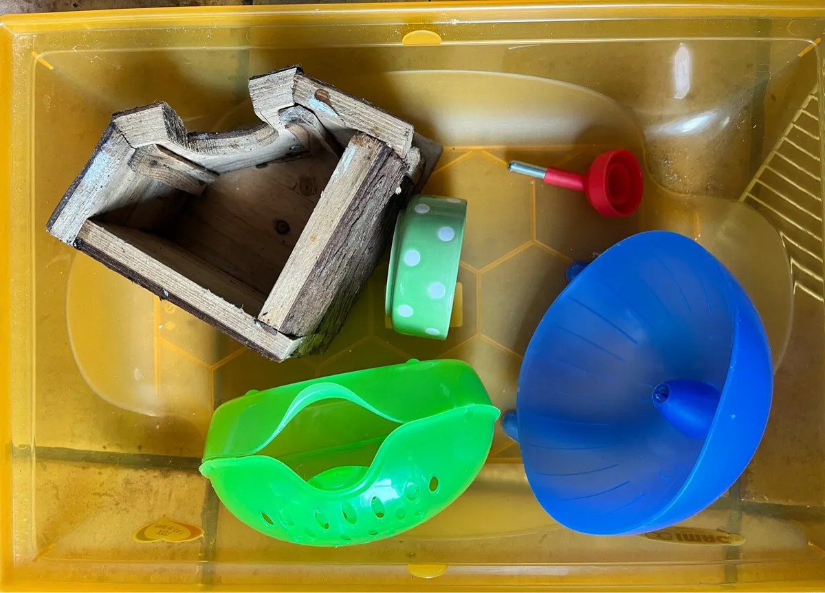 Cage home & accessories for hamster - Image 4