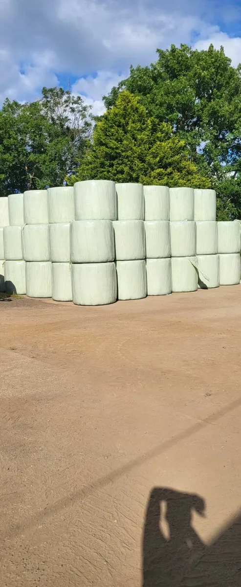 Haylage