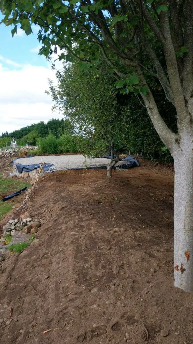 Home and garden maintenance - Image 2