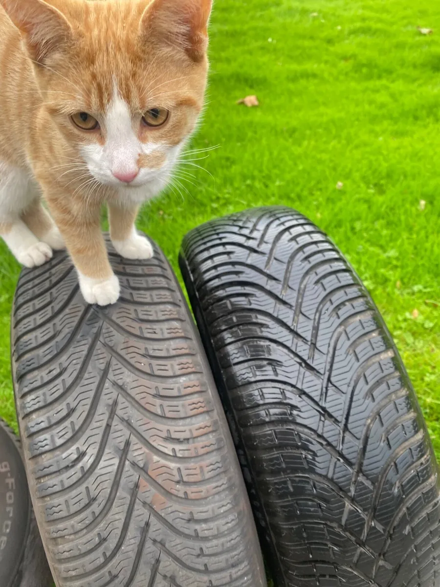 Winter Tyres - Image 2