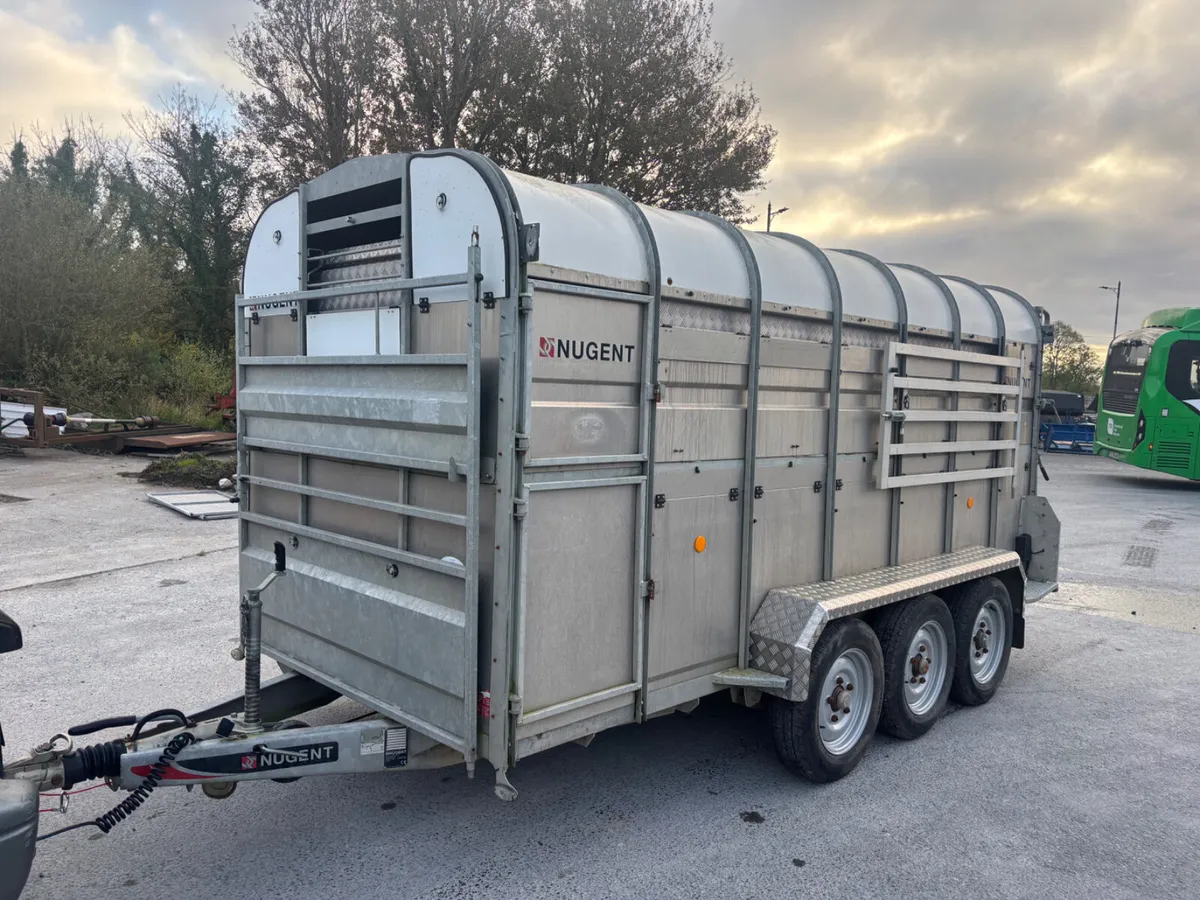 nugent 14ft c/w sheep decks - Image 4