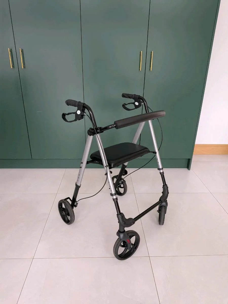 Rollator Mobility Frame - Image 1