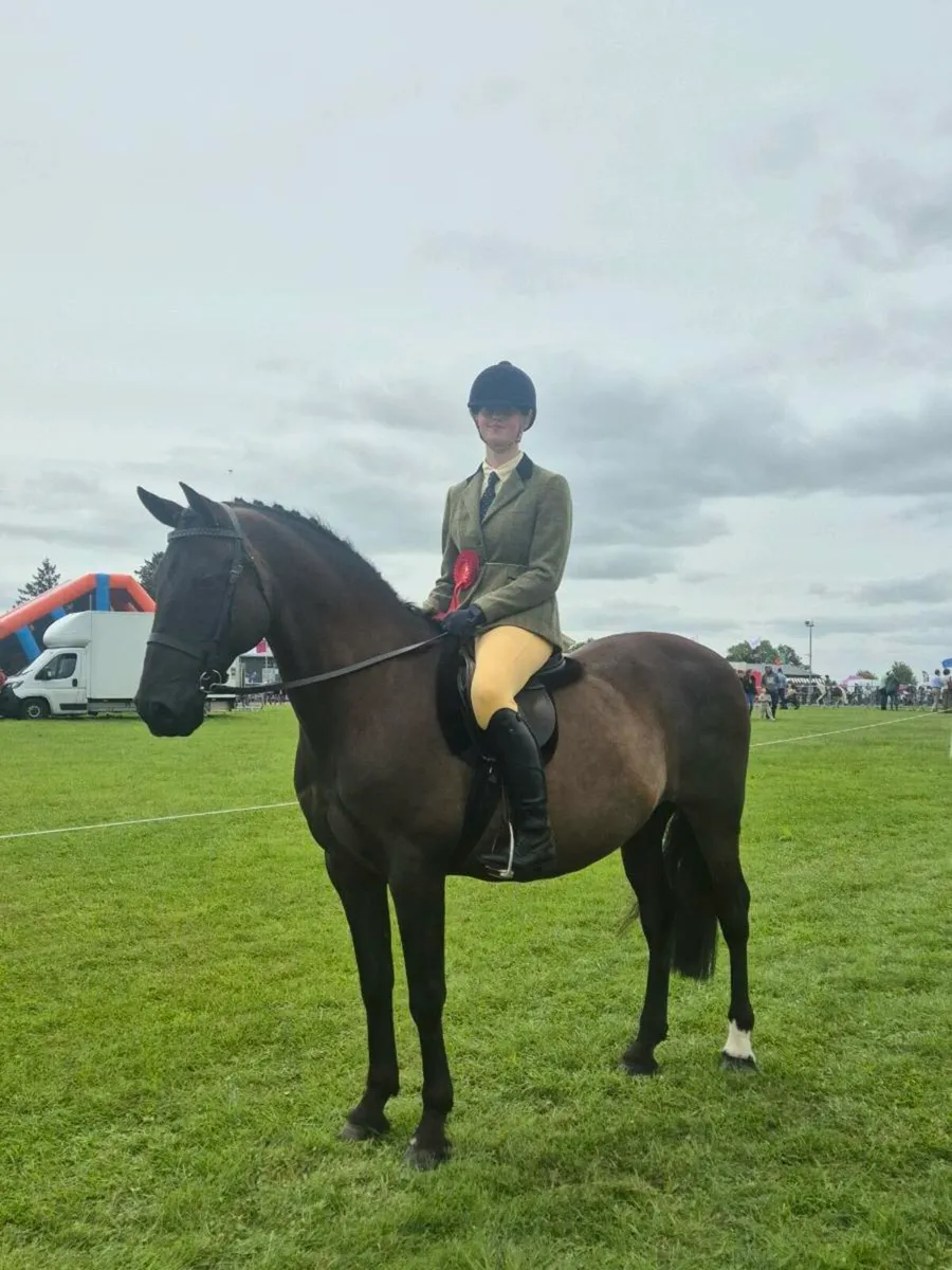 Riding club/Pony Club - Image 1