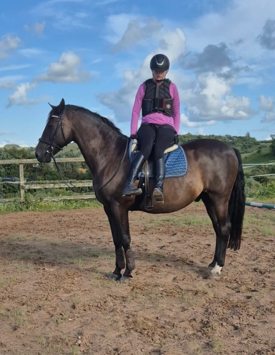 Riding club/Pony Club - Image 4