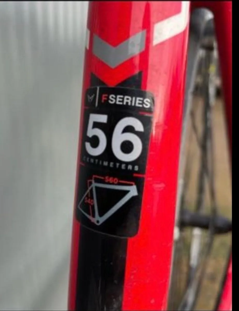 Bike - Image 4
