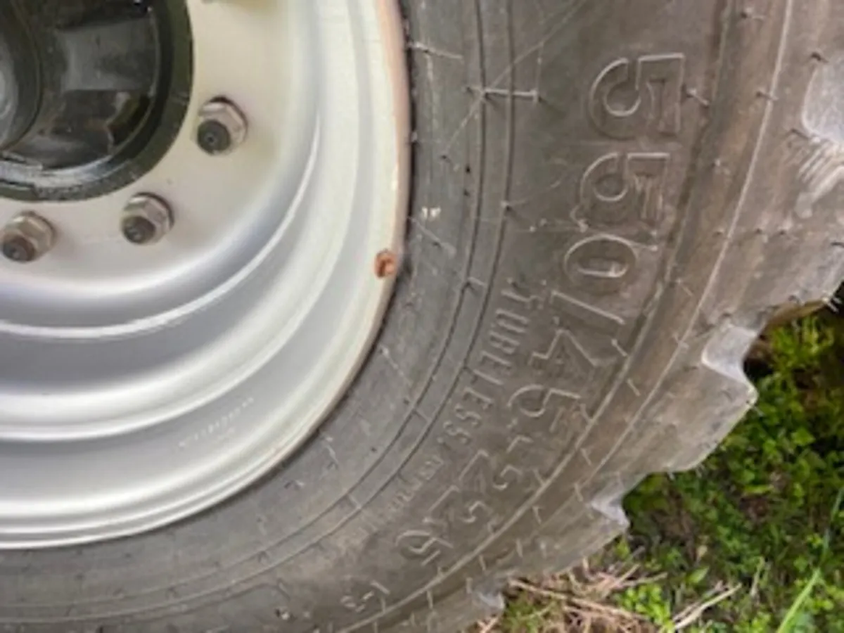 Fleming Grain Trailer - Image 3